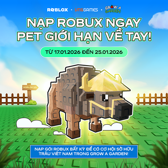 Robux Promo